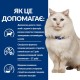 Сухий корм для котів Hill’s Prescription Diet Urinary Care c/d Multicare Stress 400 г - курка