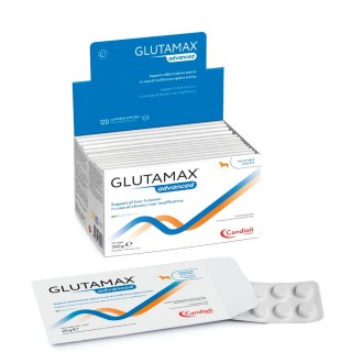 Таблетки для собак Candioli GlutaMax Advanced 10 шт
