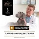 Purina Pro Plan Veterinary Diets NF Renal Function Canine - вологий корм-мус для підтримки нирок при ХНН у собак, 195г