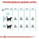 Набір сухого і вологого корму для котів Royal Canin Urinary Care 2 кг +12 шт х 85 г pouch + лабіринт у подарунок