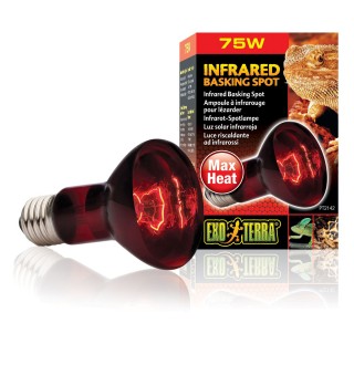 Інфрачервона лампа розжарювання Exo Terra «Infrared Basking Spot» 75 W, E27 (для обігріву)