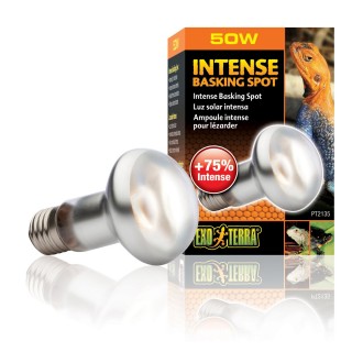 Рефлекторна лампа розжарювання Exo Terra «Intense Basking Spot» 50 W, E27 (для обігріву)