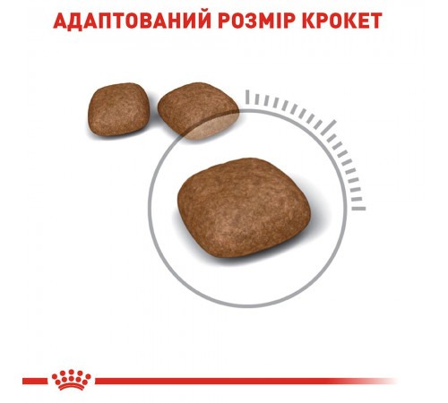 Набір сухого і вологого корму для котів Royal Canin Urinary Care 2 кг +12 шт х 85 г pouch + лабіринт у подарунок