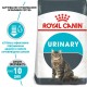 Набір сухого і вологого корму для котів Royal Canin Urinary Care 2 кг +12 шт х 85 г pouch + лабіринт у подарунок