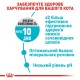 Набір сухого і вологого корму для котів Royal Canin Urinary Care 2 кг +12 шт х 85 г pouch + лабіринт у подарунок