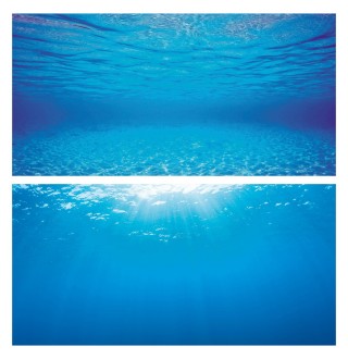 Фон для акваріума Juwel «Poster 2» 100 x 50 см (підводний мотив)