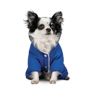 Костюм для собак Pet Fashion «Zhan» XS