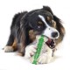 Іграшка для собак Petstages Crunchcore 10.5 см