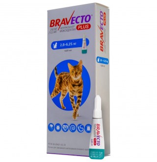 Краплі на холку для котів Bravecto Plus 250 мг від 2,8 до 6,25 кг, 1 шт