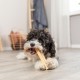Ласощі для собак Trixie Chewing Паличка XS 13,5 см / 30 г - сир