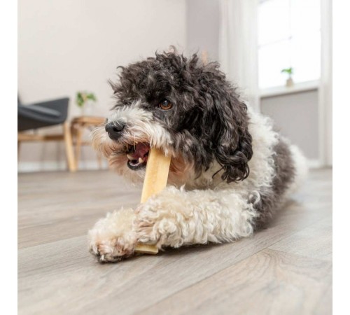 Ласощі для собак Trixie Chewing Паличка XS 13,5 см / 30 г - сир