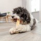 Ласощі для собак Trixie Chewing Паличка XS 13,5 см / 30 г - сир