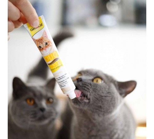 Ласощі для котів GimCat Duo Paste Multi-vitamin 12 vitamins 50 г - сир