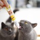 Ласощі для котів GimCat Duo Paste Multi-vitamin 12 vitamins 50 г - сир