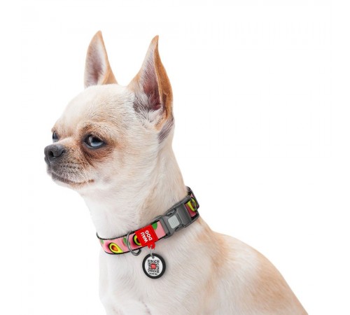 Нашийник для собак Collar WAUDOG Nylon M