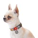 Нашийник для собак Collar WAUDOG Nylon M