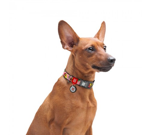 Нашийник для собак Collar WAUDOG Nylon M