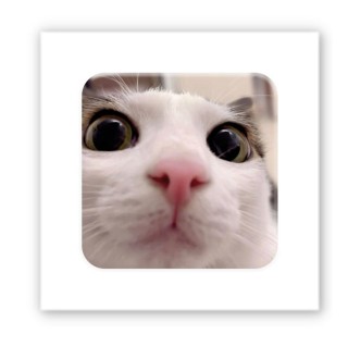 Стікер-3D Tatooshka Я все бачу