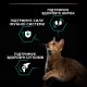 Purina Pro Plan Original Adult Chicken - сухий корм з куркою для дорослих котів, 1,5кг