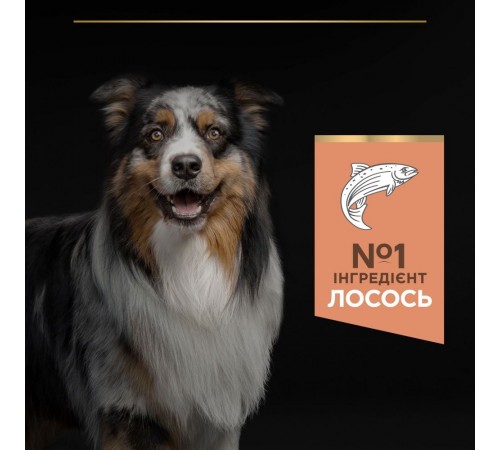 Сухий корм для собак Pro Plan Medium Sensitive Skin 14 кг - лосось
