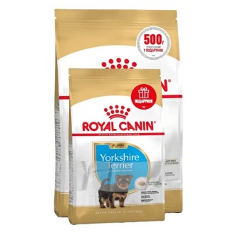 Сухий корм для цуценят Royal Canin Yorkshire Puppy 2 кг