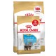 Сухий корм для цуценят Royal Canin Yorkshire Puppy 2 кг