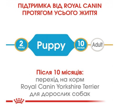 Сухий корм для цуценят Royal Canin Yorkshire Puppy 2 кг