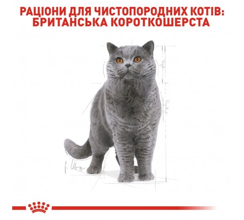 Royal Canin British Shorthair Adult - сухий корм із птицею для дорослих Британських короткошерстих котів, 400г