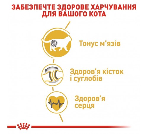 Royal Canin British Shorthair Adult - сухий корм із птицею для дорослих Британських короткошерстих котів, 400г
