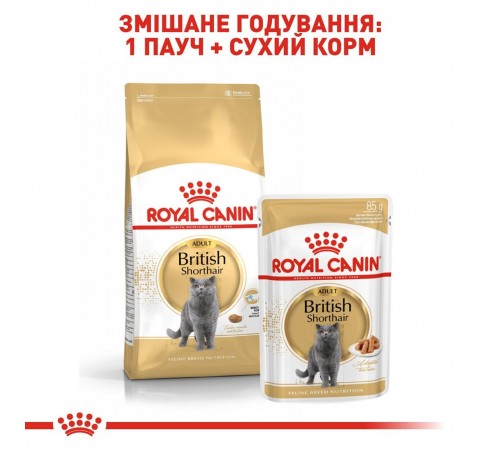 Royal Canin British Shorthair Adult - сухий корм із птицею для дорослих Британських короткошерстих котів, 400г