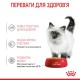 Вологий корм для кошенят Royal Canin Kitten Jelly pouch 85 г