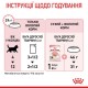 Вологий корм для кошенят Royal Canin Kitten Jelly pouch 85 г