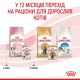 Вологий корм для кошенят Royal Canin Kitten Jelly pouch 85 г