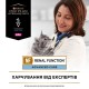 Вологий корм пауч для кішок при захворюваннях нирок Pro Plan Veterinary Diets NF Advanced care 85 г (курка)