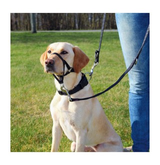 Недоуздок Trixie нейлоновий «Top Trainer» M 40-48 см / 27 см (чорний)