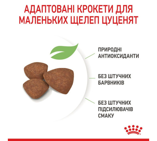 Сухий корм для цуценят Royal Canin Mini Puppy 1,6 кг