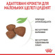 Сухий корм для цуценят Royal Canin Mini Puppy 1,6 кг