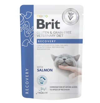Вологий корм для котів Brit GF VetDiet Recovery pouch 85 г - лосось