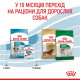 Сухий корм для цуценят Royal Canin Mini Puppy 1,6 кг