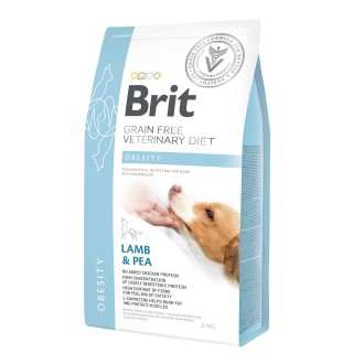 Сухий корм для собак, для зниження ваги Brit GF Veterinary Diet Dog Obesity 2 кг (ягня)