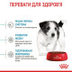 Сухий корм для цуценят Royal Canin Mini Puppy 1,6 кг