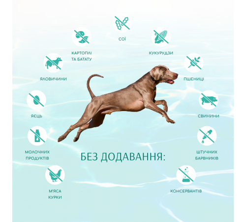 Cухий беззерновий корм для собак усіх порід Optimeal Beauty Fitness Healthy Weight & Joints 1,5 кг (морепродукти)