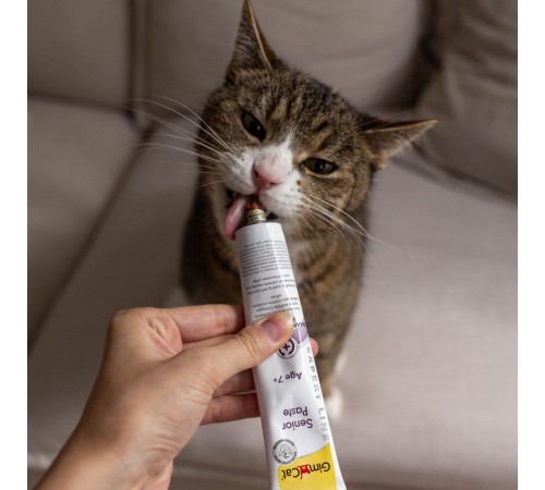 Ласощі для котів GimCat Expert Line Senior Paste 50 г - мультивітамін