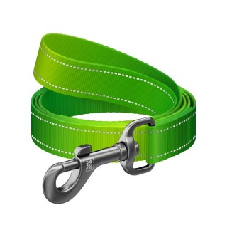 Повідець для собак Collar Waudog Nylon Mono S - салатовий