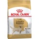 Сухий корм для собак Royal Canin Labrador Retriever Adult 12 кг
