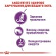 Сухий корм для котів Royal Canin Sensible 33, 4 кг + Catsan 5 л у подарунок