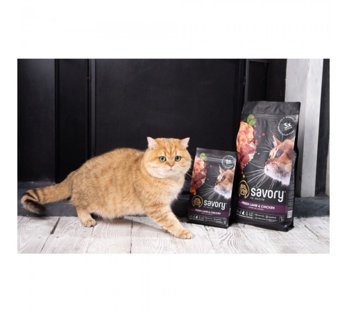 Сухий корм для котів Savory Adult Cat Steril Fresh 2 кг - ягня та курка