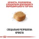 Сухий корм для собак Royal Canin Yorkshire Terrier Adult 500 г