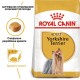 Сухий корм для собак Royal Canin Yorkshire Terrier Adult 500 г