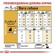 Сухий корм для собак Royal Canin Yorkshire Terrier Adult 500 г